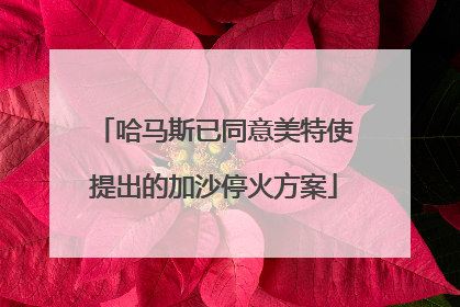 哈马斯已同意美特使提出的加沙停火方案