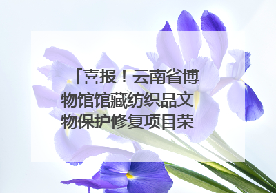 喜报！云南省博物馆馆藏纺织品文物保护修复项目荣获全国十佳
