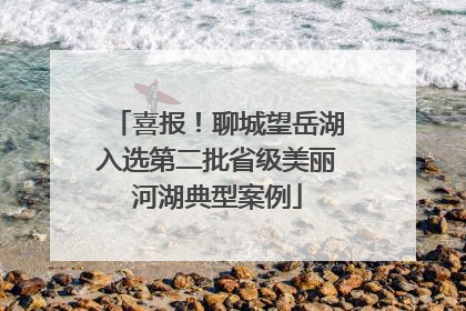喜报！聊城望岳湖入选第二批省级美丽河湖典型案例