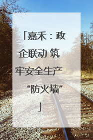 嘉禾：政企联动 筑牢安全生产“防火墙”