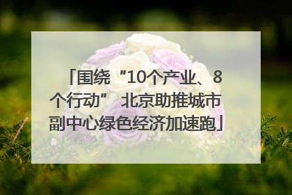 围绕“10个产业、8个行动” 北京助推城市副中心绿色经济加速跑