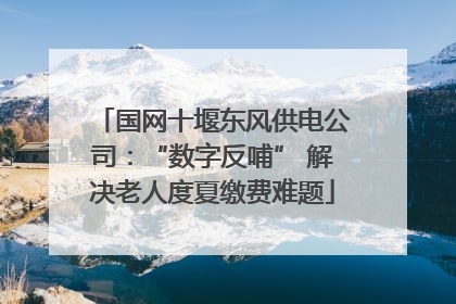 国网十堰东风供电公司：“数字反哺” 解决老人度夏缴费难题