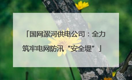 国网漯河供电公司：全力筑牢电网防汛“安全堤”