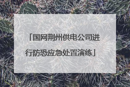 国网荆州供电公司进行防恐应急处置演练