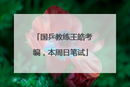 国乒教练王皓考编，本周日笔试