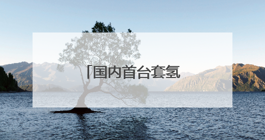 国内首台套氢内燃机发电机组投入商业运营