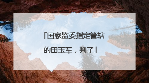 国家监委指定管辖的田玉军，判了