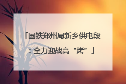 国铁郑州局新乡供电段：全力迎战高“烤”