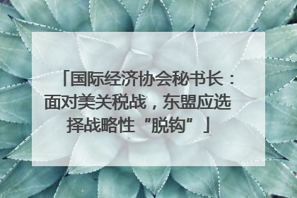 国际经济协会秘书长：面对美关税战，东盟应选择战略性“脱钩”