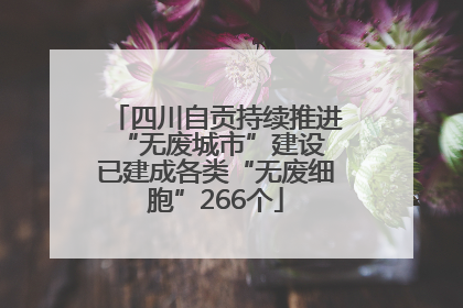 四川自贡持续推进“无废城市”建设 已建成各类“无废细胞”266个