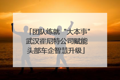 团队练就“大本事” 武汉霍尼特公司赋能头部车企智慧升级