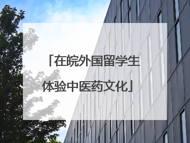 在皖外国留学生体验中医药文化