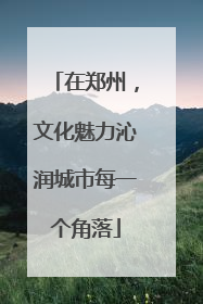 在郑州，文化魅力沁润城市每一个角落