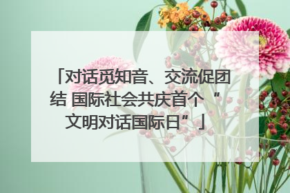 对话觅知音、交流促团结 国际社会共庆首个“文明对话国际日”