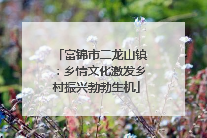 富锦市二龙山镇：乡情文化激发乡村振兴勃勃生机