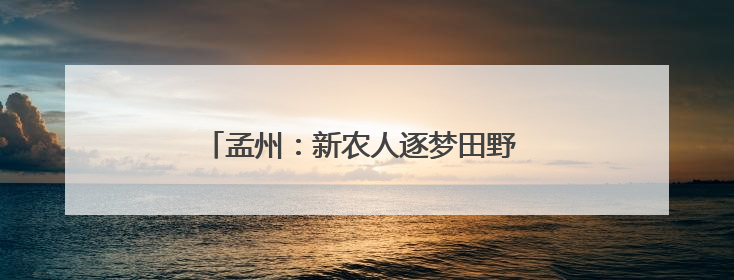 孟州：新农人逐梦田野 绘就乡村振兴“丰收曲”