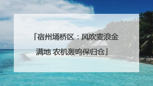 宿州埇桥区：风吹麦浪金满地 农机轰鸣保归仓