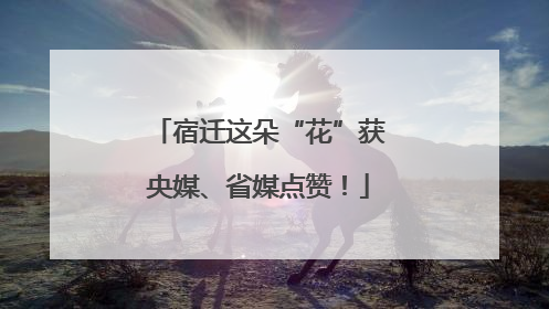 宿迁这朵“花”获央媒、省媒点赞！