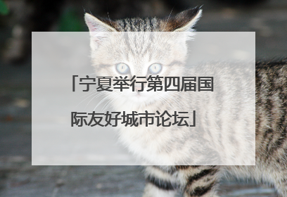 宁夏举行第四届国际友好城市论坛