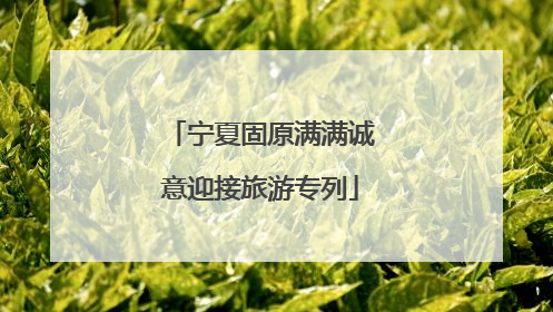宁夏固原满满诚意迎接旅游专列