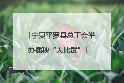 宁夏平罗县总工会举办插秧“大比武”