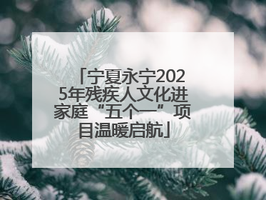 宁夏永宁2025年残疾人文化进家庭“五个一”项目温暖启航