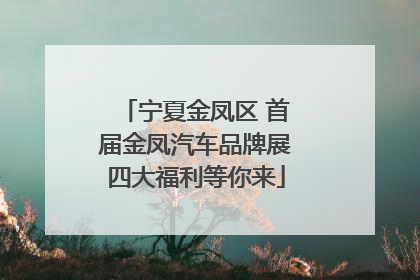 宁夏金凤区 首届金凤汽车品牌展四大福利等你来