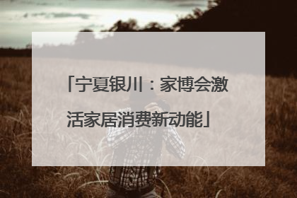 宁夏银川：家博会激活家居消费新动能