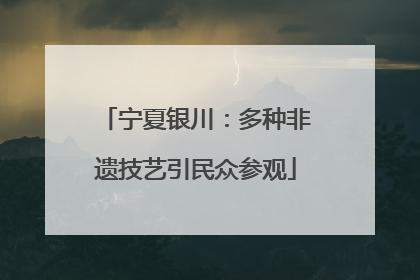 宁夏银川：多种非遗技艺引民众参观