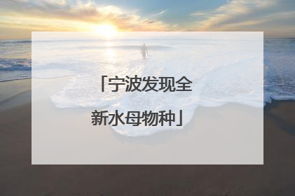 宁波发现全新水母物种