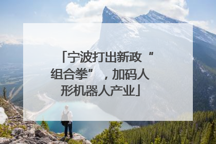 宁波打出新政“组合拳”，加码人形机器人产业