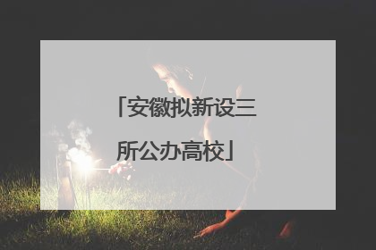 安徽拟新设三所公办高校