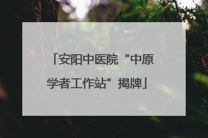 安阳中医院“中原学者工作站”揭牌
