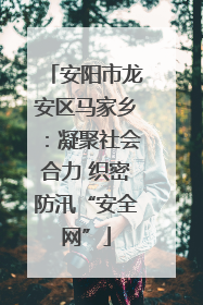 安阳市龙安区马家乡：凝聚社会合力 织密防汛“安全网”