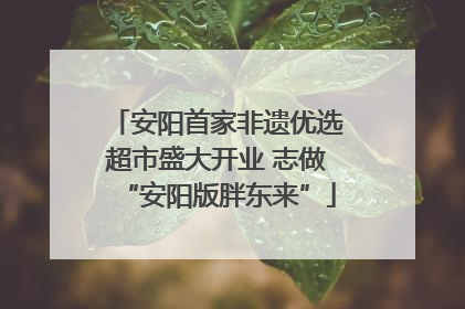 安阳首家非遗优选超市盛大开业 志做“安阳版胖东来”