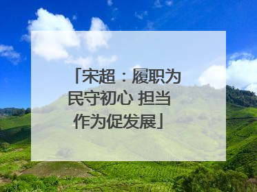 宋超：履职为民守初心 担当作为促发展