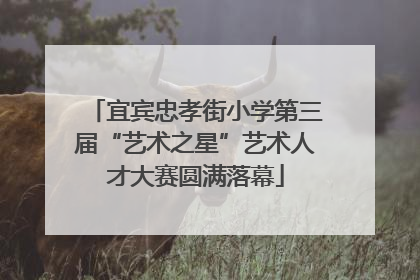 宜宾忠孝街小学第三届“艺术之星”艺术人才大赛圆满落幕