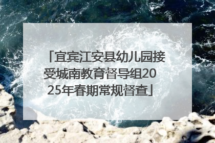 宜宾江安县幼儿园接受城南教育督导组2025年春期常规督查