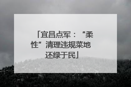 宜昌点军：“柔性”清理违规菜地 还绿于民