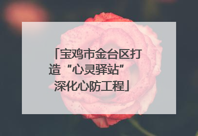 宝鸡市金台区打造“心灵驿站” 深化心防工程