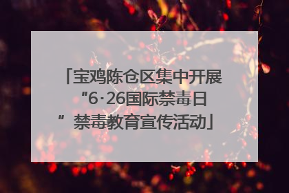宝鸡陈仓区集中开展“6･26国际禁毒日”禁毒教育宣传活动