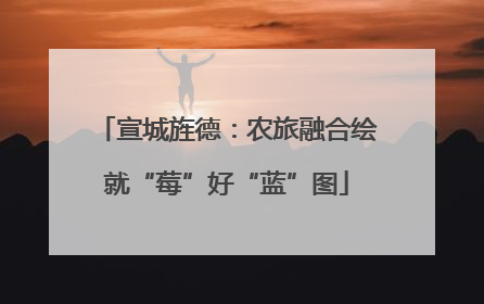 宣城旌德：农旅融合绘就“莓”好“蓝”图