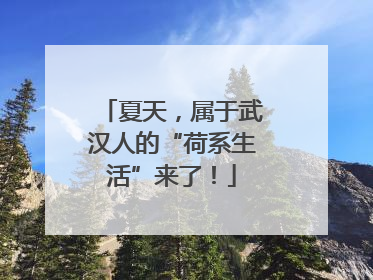 夏天，属于武汉人的“荷系生活”来了！