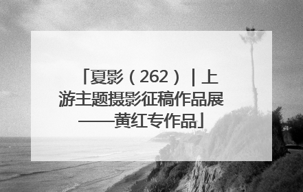 夏影（262）｜上游主题摄影征稿作品展——黄红专作品