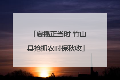 夏播正当时 竹山县抢抓农时保秋收