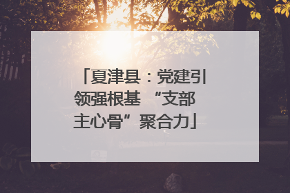 夏津县：党建引领强根基 “支部主心骨”聚合力