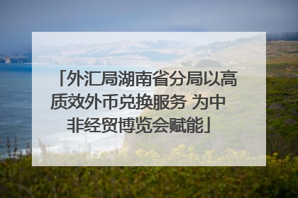 外汇局湖南省分局以高质效外币兑换服务 为中非经贸博览会赋能
