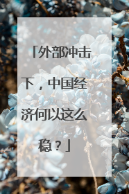 外部冲击下，中国经济何以这么稳？