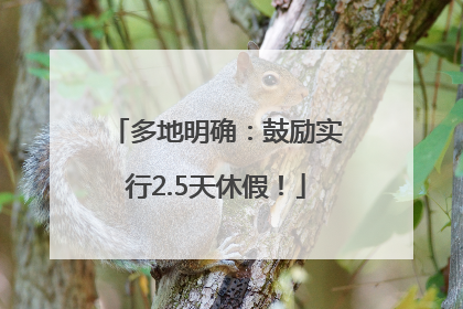 多地明确：鼓励实行2.5天休假！
