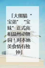 大熊猫“宝弟”“宝妹”正式亮相温州动物园！对本地美食情有独钟